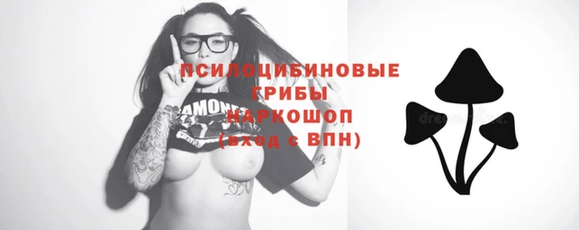 дурь Аркадак