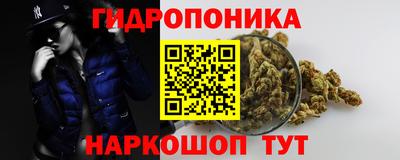 молекула духа Лесосибирск