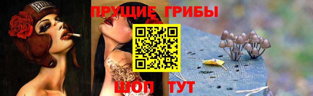 Галлюциногенные грибы Psilocybe Киреевск